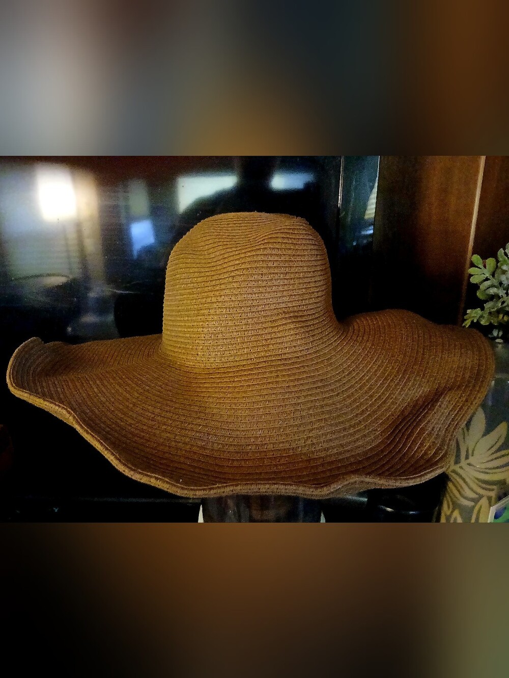 Peter Grimm Wide-Brim Straw Sun Hat — Brown